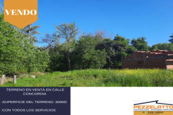 Terreno,En Venta,1289