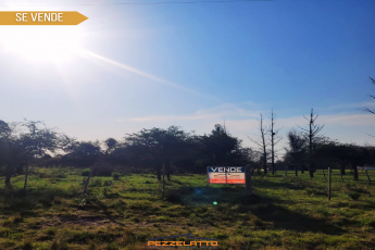 Terreno,En Venta,1407