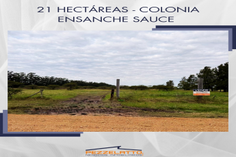 Campo,Compra,1473