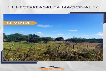 Campo,Compra,1521